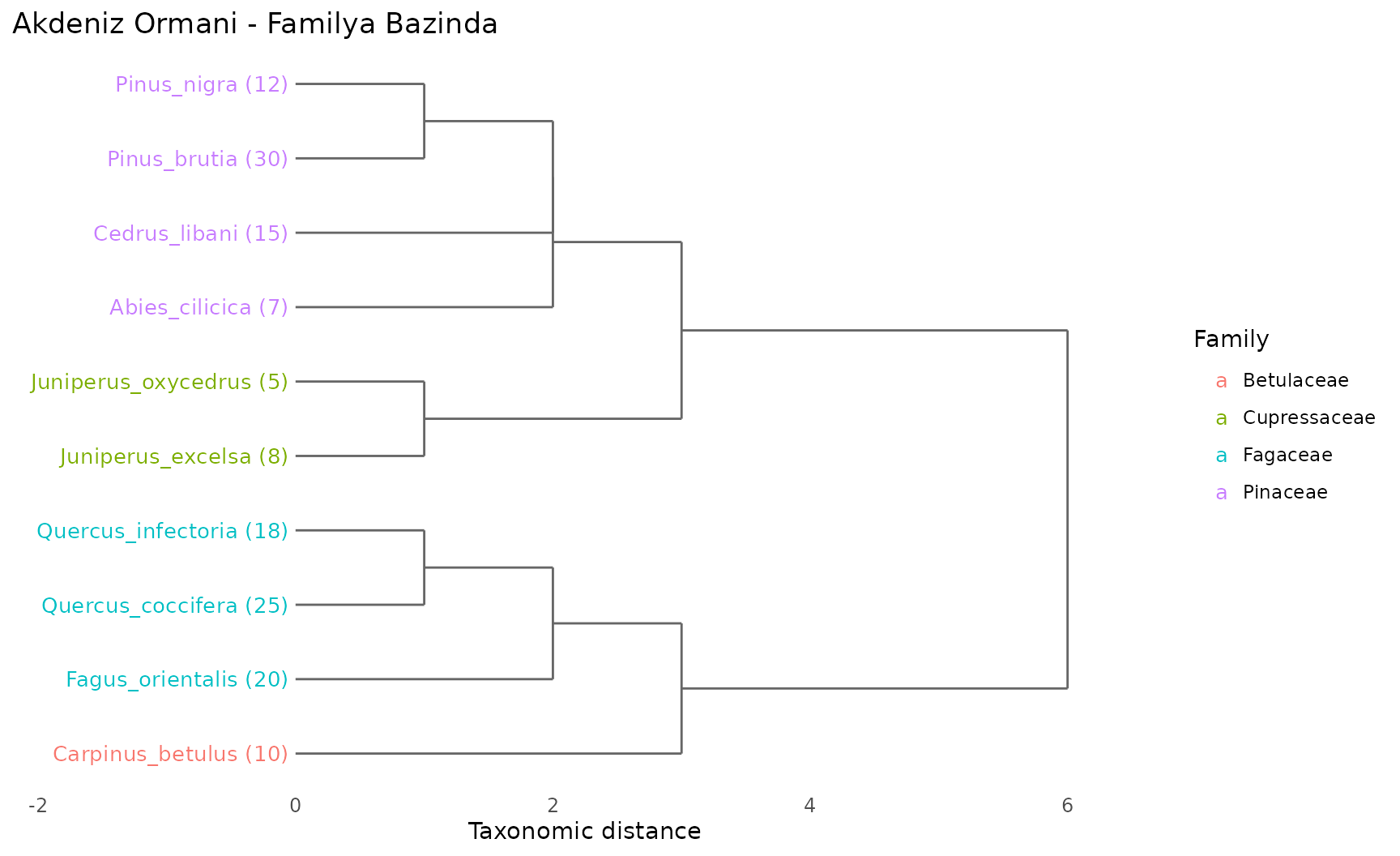 Akdeniz ormani turlerinin familya bazinda taksonomik agac dendogrami