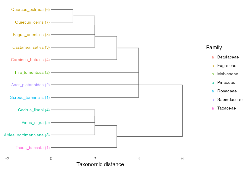 Taxonomic dendrogram